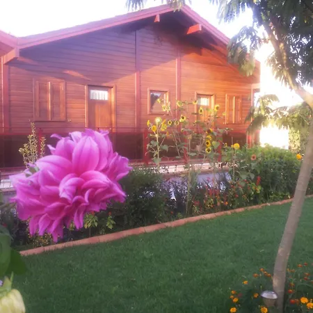 Georges Apartamento Cortes